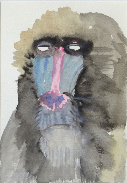 Baboon Close