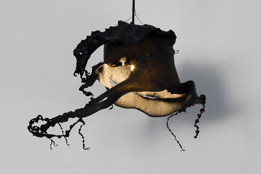 Seaweed Lamp