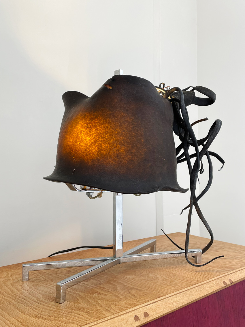 Seaweed Lamp