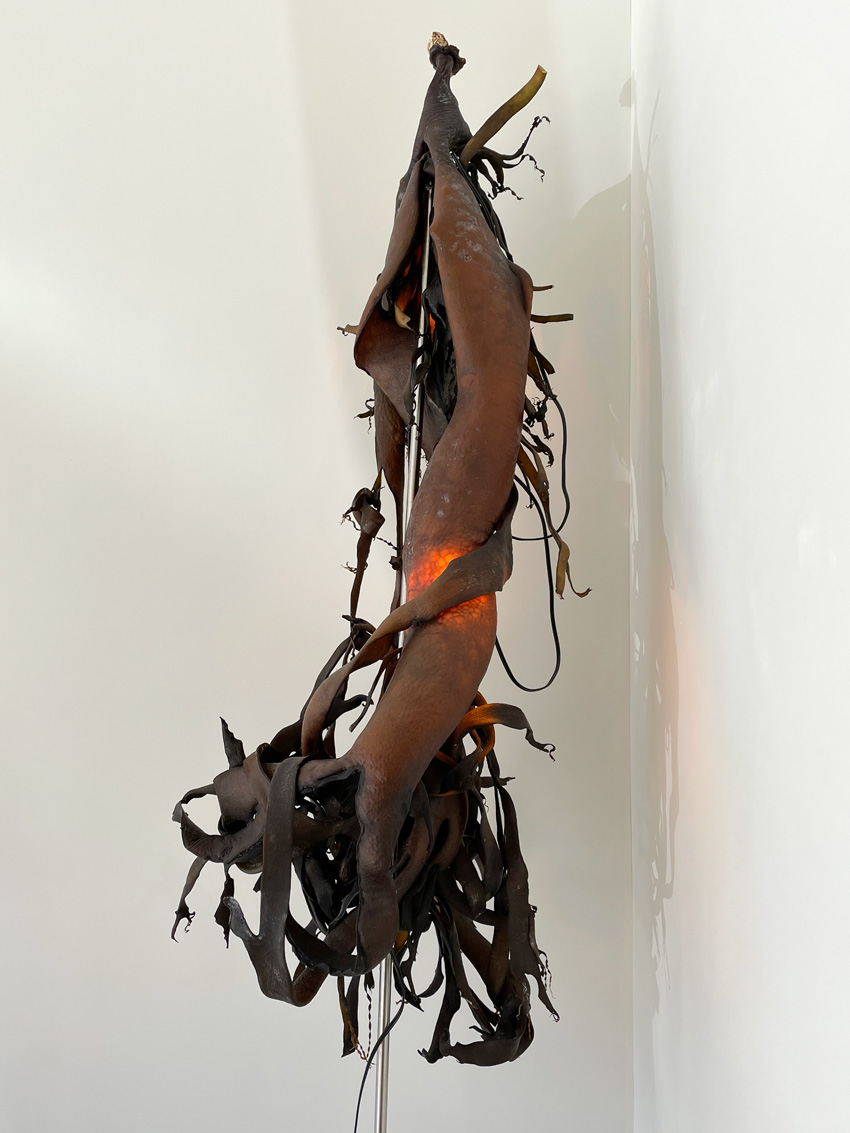 Seaweed Lamp (detail)