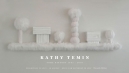 Kathy Temin - Some History - 1992-2010